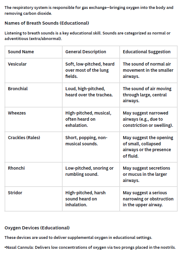 The Ultimate Nursing Cheat Sheets Pack (20+ Pages)